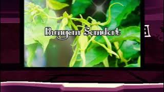 Lagu Bungan Sandat AA Made Cakra cover Piano