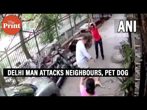 Delhi man attacks neighbours & their pet dog with iron rod