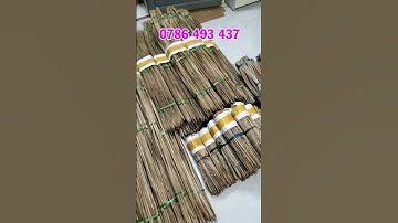 Tổng hợp các mẫu cần câu cắm cho mùa nước nổi