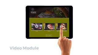 Prointeractive Full Video 1080P 1