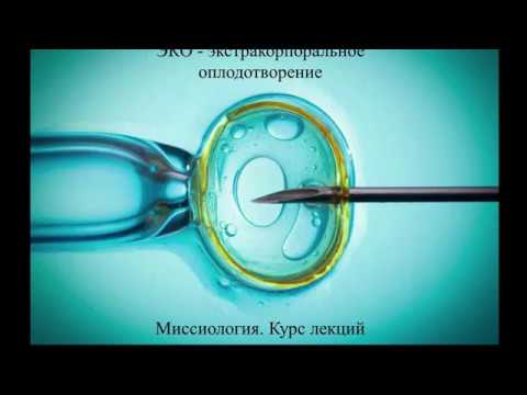 ЭКО - экстракорпоральное оплодотворение. Миссиология. Курс лекций