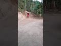 Kuli Angkut: Kerja Serabutan di Desa 🚜