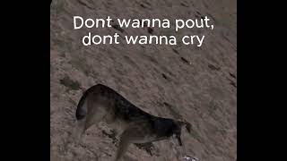 Piano in the sky | Wolfquest AE