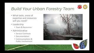 NC Trees & Storms: Building Your Urban Forestry Team