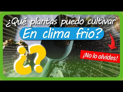 Video: Jardinería con marcos fríos - Cómo cultivar plantas en un marco frío