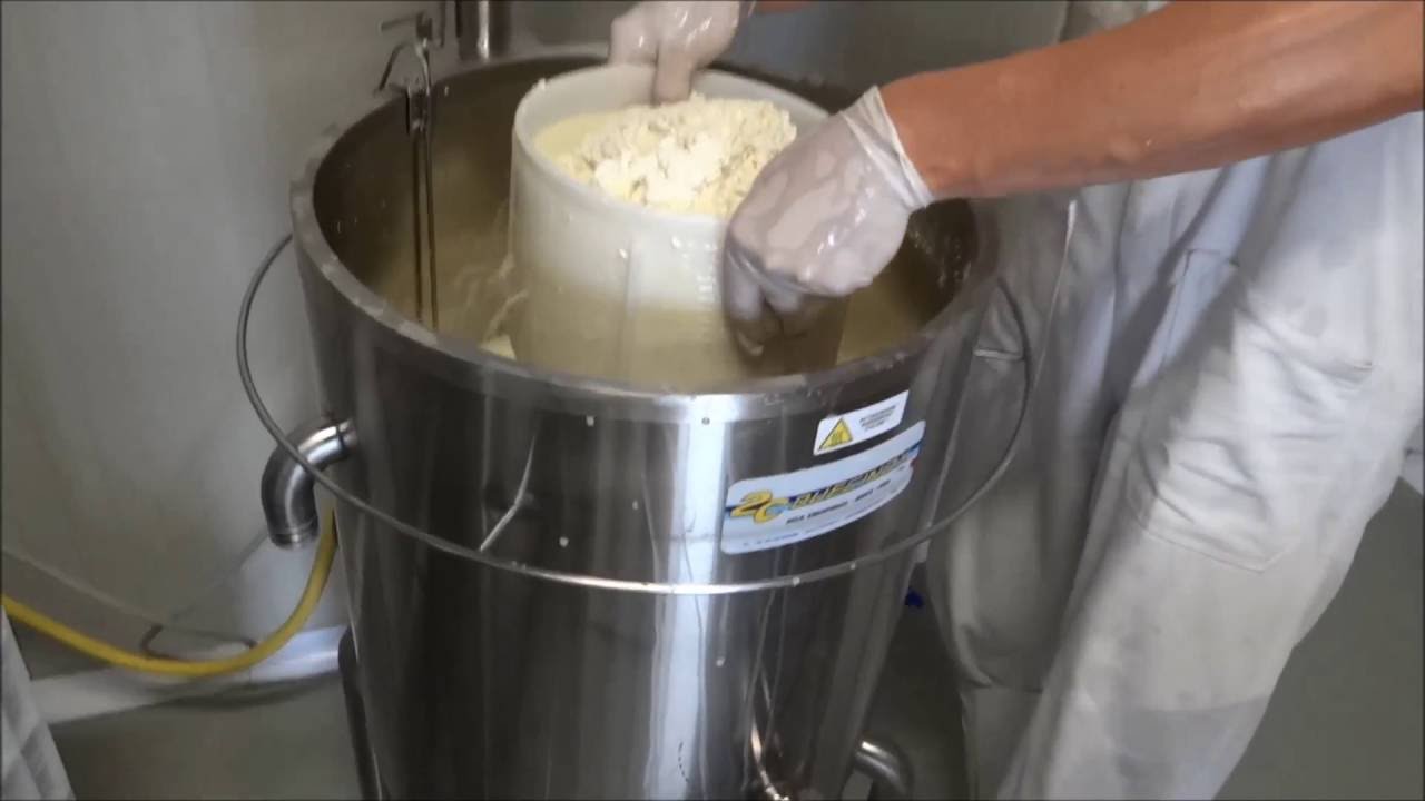 HARD CHEESE MAKING AT HOME WITH MINI PASTEURIZER YouTube