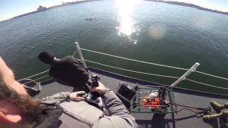 US Navy tests robot fish spy