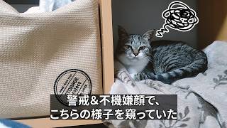 半日ずっと不機嫌