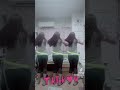 #bodyworkout #dancechallenge #hulahoopdancing #fitness