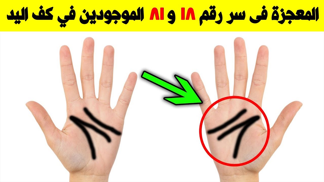 ماهى المعجزة فى سر رقم ١٨ و٨١ الموجودين في كف اليد ؟ سبحان الله !