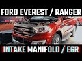 Ford Everest Intake Manifold & EGR Removal DIY | Ranger | T6 | T7 | TDCi | 2.2 | 3.2
