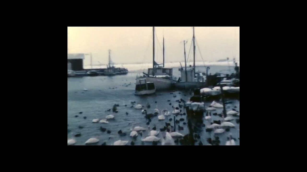 Snevejr i Skælskør 1979