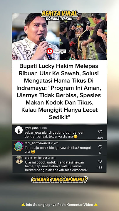 Bupati Lepaskan Ribuan Ular ke Sawah⁉️🫣