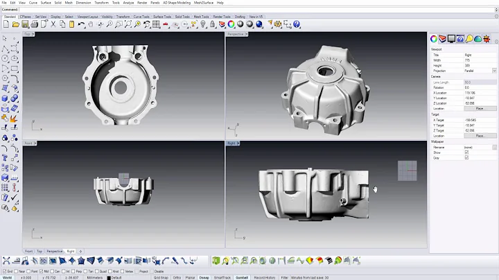 Scan data alignment. Rhinoceros plus Mesh2Surface