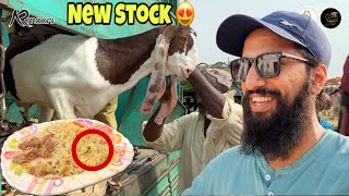 Hydrabad Myn Makhi Pulao 🤢 | Behtreen Goats Buy Krlin Alhamdulillah ❤️😍 | AR Maani