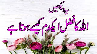 Allah Ka Khas Fazal Anayatullah Arvi Fikr E Darain