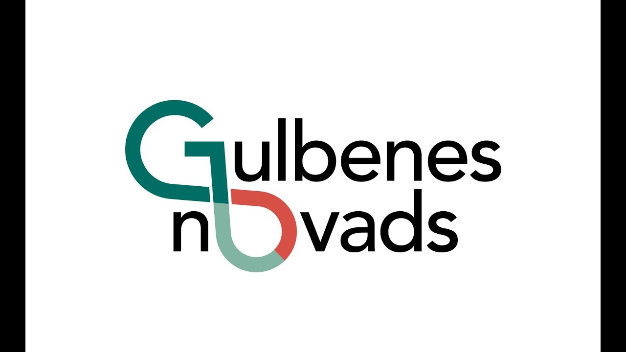Gulbenes novada domes sēde 26.02.2026.