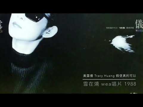 黃露儀 Tracy Huang 假使真的可以 wea唱片 1988
