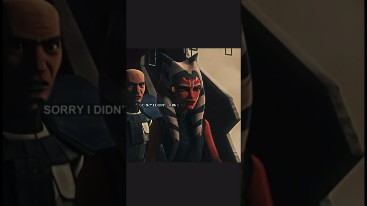 Rex and Ahsoka ||Sunflower||