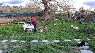 Happy Old Age Of An Elderly Couple In The Village Making Turkish Baklava