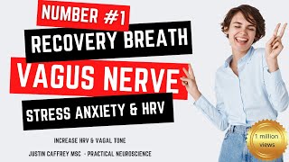 Number 1 Recovery Breath Technique for Vagus Nerve