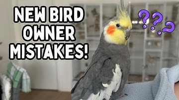 New Bird Owner Mistakes - Avoid These Common New Parrot Owner Problems | TheParrotTeacher