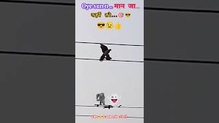 😱 bird's fight on ☠️25000volt line...#shorts #shortsfeed #viral