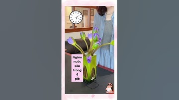 Hồi sinh các loài hoa #shorts #tips #douyin