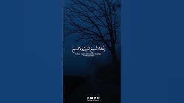 {  فَتَوَكَّل عَلَى اللَّهِ إِنَّكَ عَلَى الحَقِّ المُبينِ }[ النمل:  ٧٩ ] بصوت القارئ اسلام صبحي.