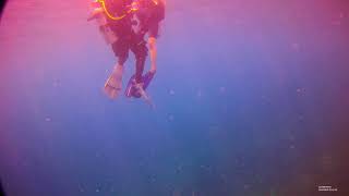 jess first dive in redang(3) Profile