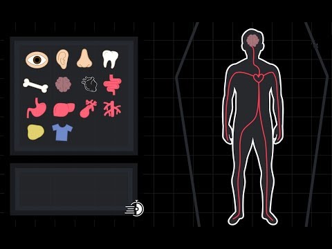 Video: Cosa Succede Al Corpo Umano Dopo La Morte - Visualizzazione Alternativa