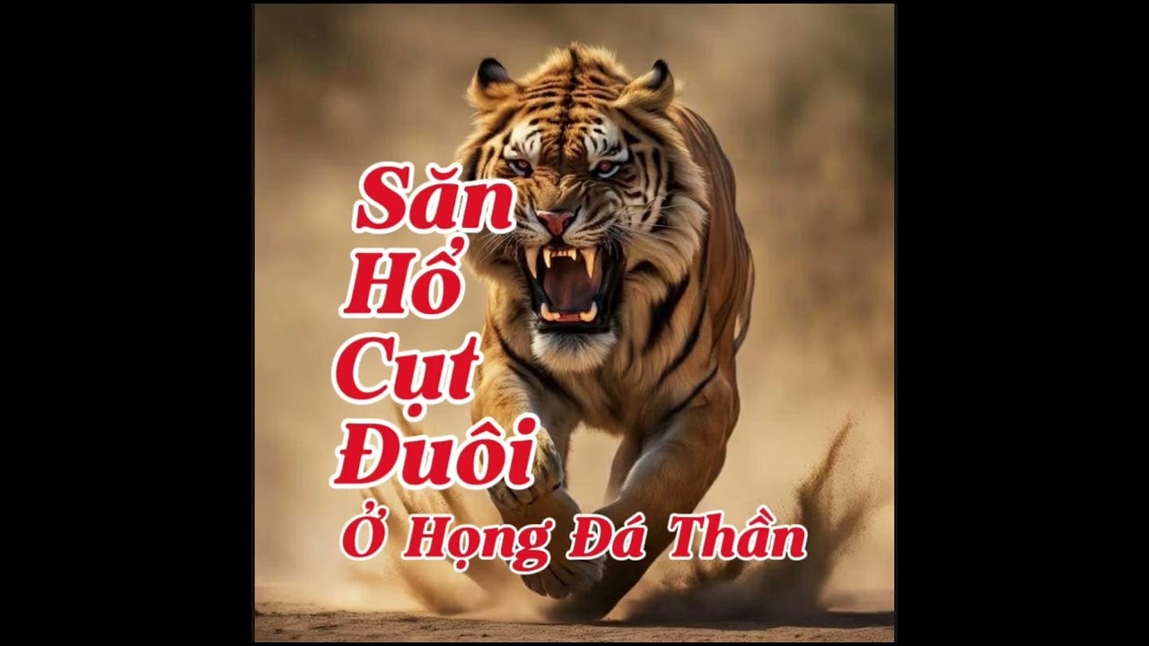 SĂN HỔ CỤT ĐUÔI Ở HỌNG ĐÁ THẦN | Lê Anh diễn đọc