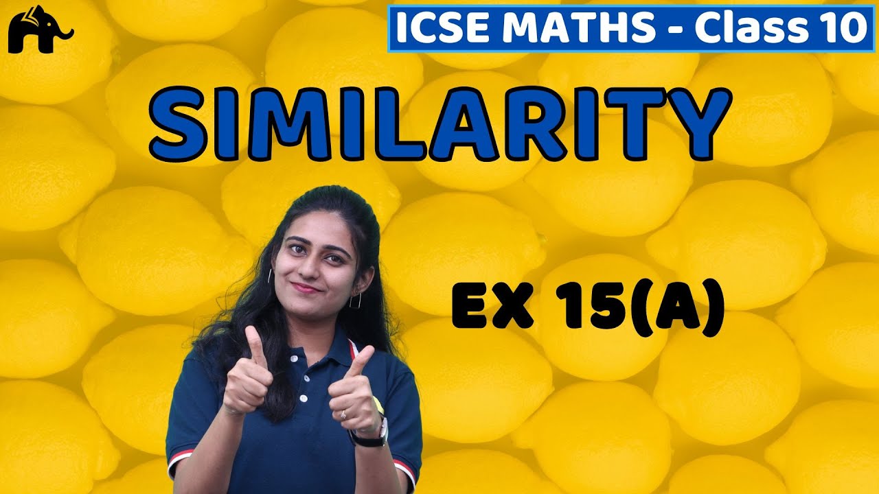 Similarity class 10 icse maths mathematics chapter 15 exercise 15a