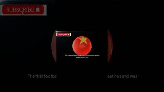 Fifa Final Match 2000 To 2024 football soccer messi ronaldo fifa