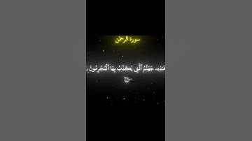 اكتب شي تؤجر عليه | القارئ محمد اللحيدان🤍🖤