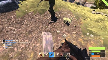 RAID 04 10 2015, Dev server - Rustafied