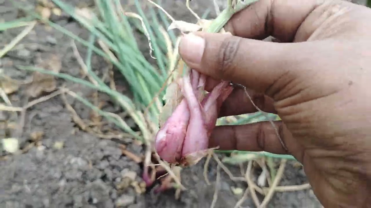 I 💕 Love 💟 Nature 😍 