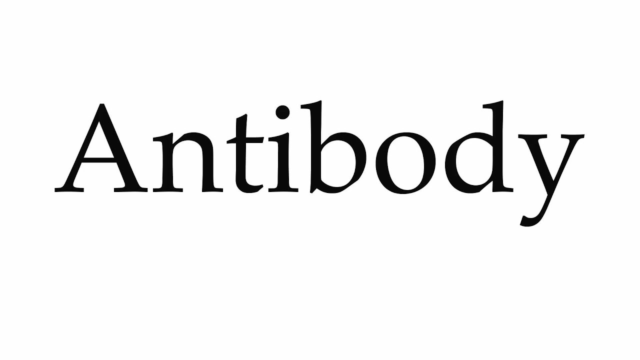How to Pronounce Antibody YouTube