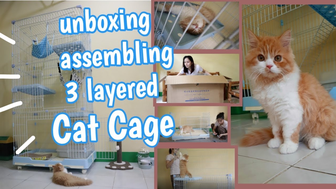 3 layered Cat Cage Philippines YouTube