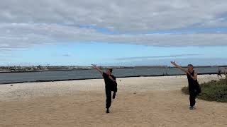 Famous Shaolin Kung Fu: Wu Bu Quan (五步拳) | Five Stance Form demonstration Profile
