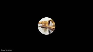 The Outsiders- Chapter 9 Audiobook