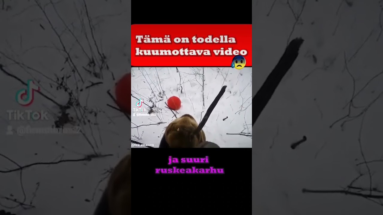 Tämä on todella kuumottava video 🐻
