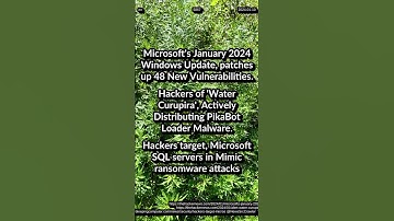 Windows Update 48 fix. Water Curupira PikaBot Loader. Microsoft SQL servers Mimic ransomware