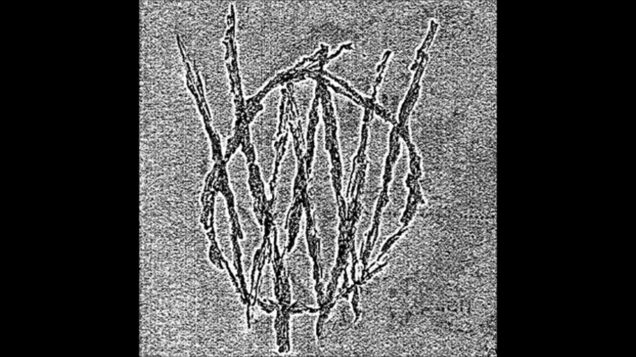 Wounded Wolves - S/T 2012 Full demo