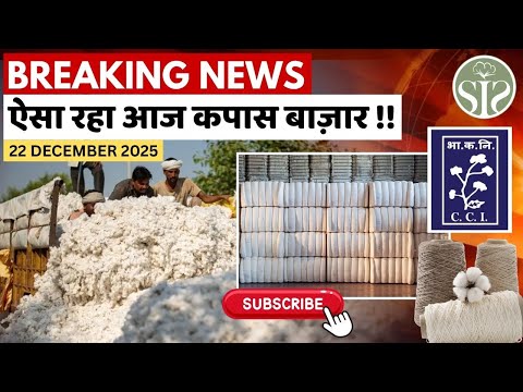 ऐसा रहा आज सम्पूर्ण भारत का रुई बाज़ार 🤔cotton market rate today #youtube