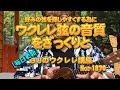 好みの弦を探しやすくする為にウクレレ弦の音質をざっくりと ／ 【毎日更新】 BJのウクレレ講座 No.1870【2023年1月1日公開】