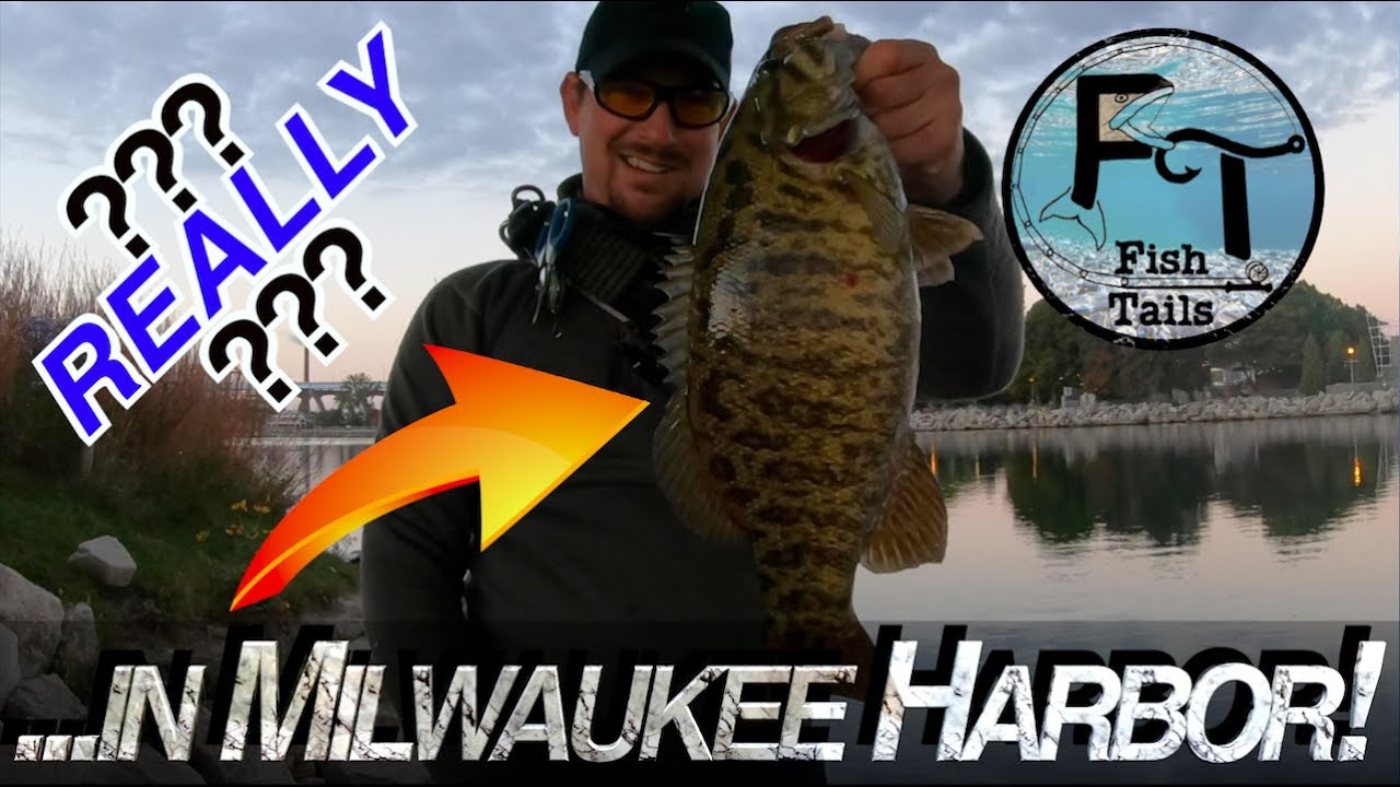 Fishing Lake Michigan Harbor (Milwaukee, Port Washington) brown trout