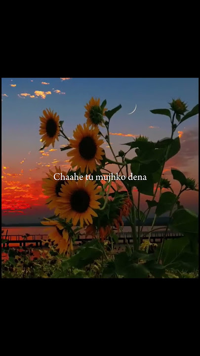 Saudebazi#song #lyrics #hindisong #watsappstatus #lyricvideo