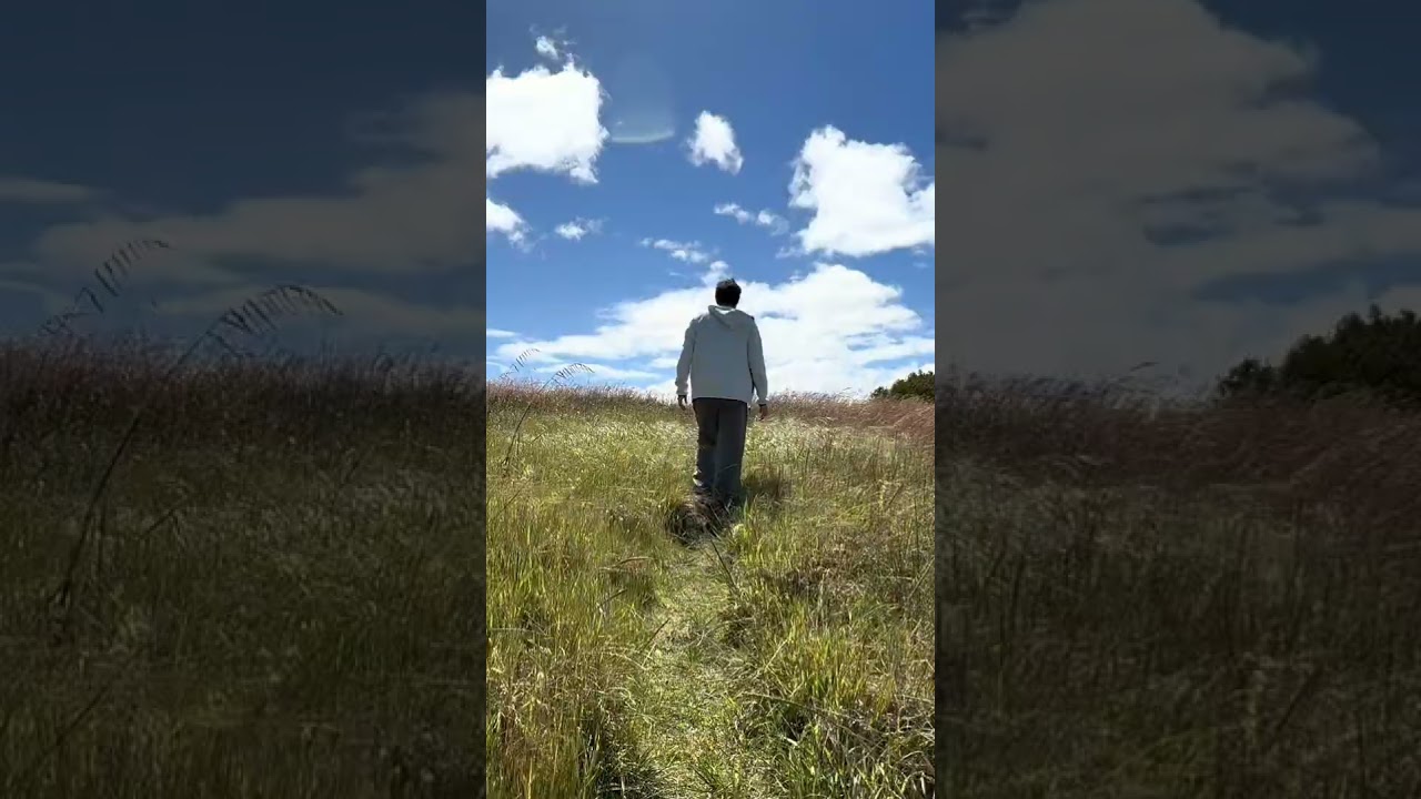 Breeze & Freedom | Australian Nature Short 🇦🇺 