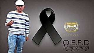 Q E P D Manzana Mrflow7070